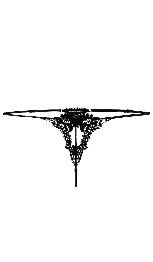 Kiki de Montparnasse Lace Ouvert Thong in Black - Kiki de Montparnasse String Ouvert en Dentelle en Noir - Kiki de Montparnasse 黑色蕾丝 Ouvert 丁字裤 - Kiki de Montparnasse Spitzen-Ouvert-Tanga in Schwarz - Kiki de Montparnasse 레이스 오베르 끈팬티 블랙 색상 - Perizoma Ouvert in pizzo Kiki de Montparnasse in nero