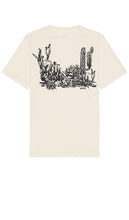 LEVI'S Graphic Tee in Neutral - T-shirt graphique LEVI'S en neutre - LEVI'S 中性色图案 T 恤 - LEVI'S Grafik-T-Shirt in Neutral - LEVI'S 그래픽 티셔츠 - T-shirt grafica LEVI'S in colore neutro
