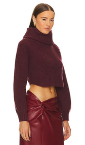 Michael Costello x REVOLVE Safia Peek A Boo Crop in Burgundy