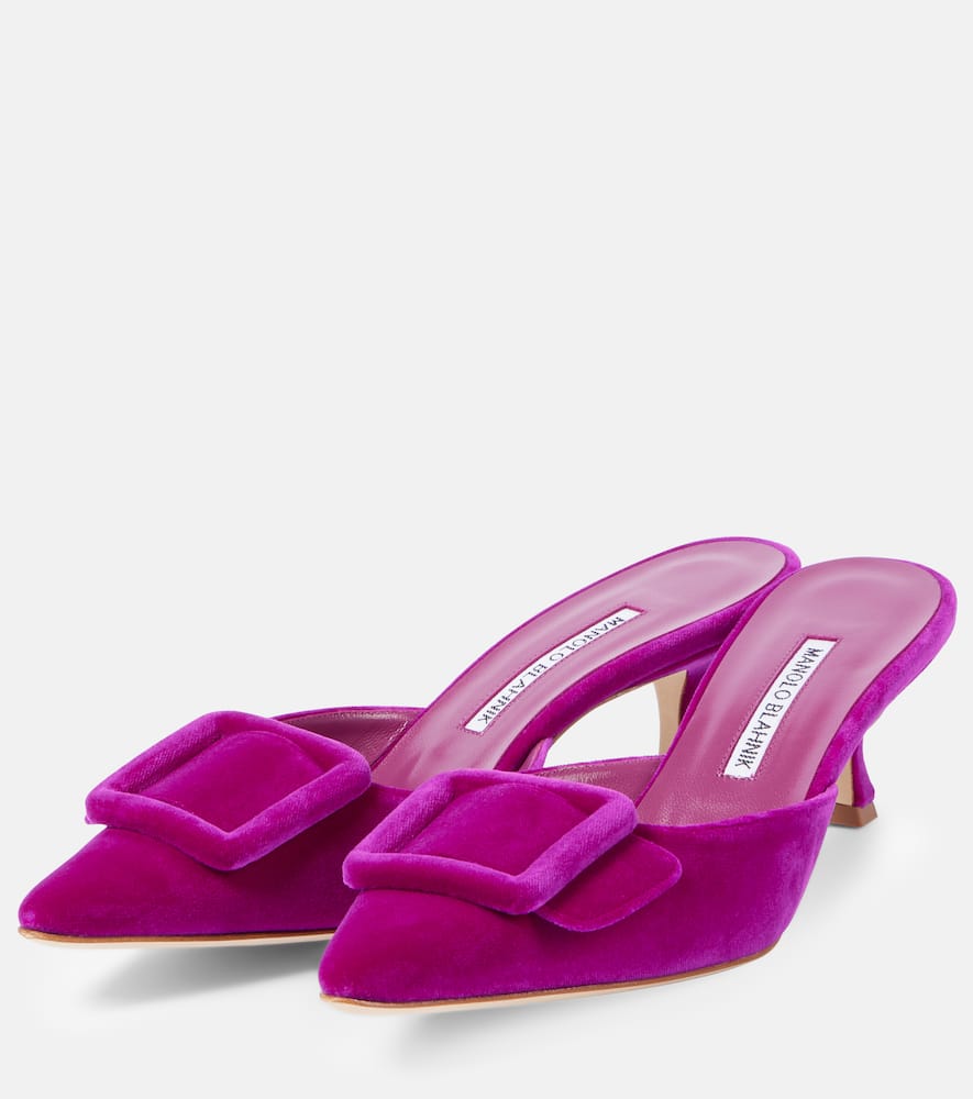 Manolo Blahnik Maysale 50 velvet mules
