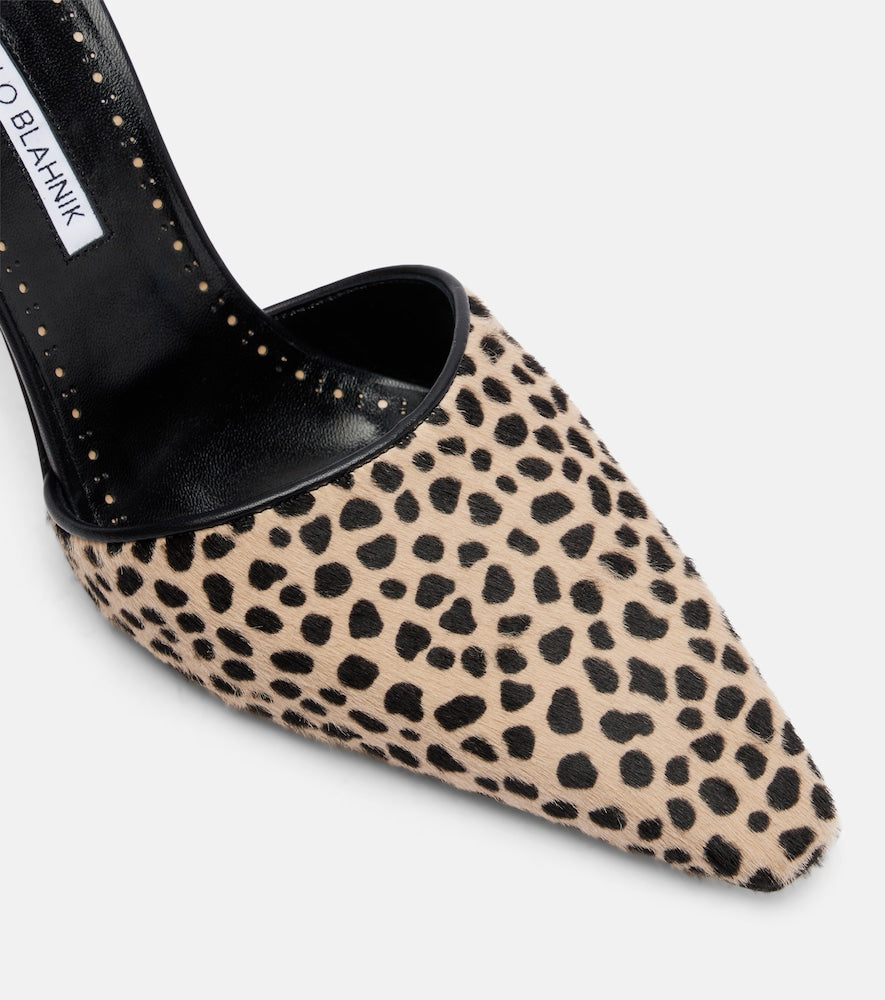 Manolo Blahnik Gambis printed calf hair pumps in Black - High-Heel Pumps