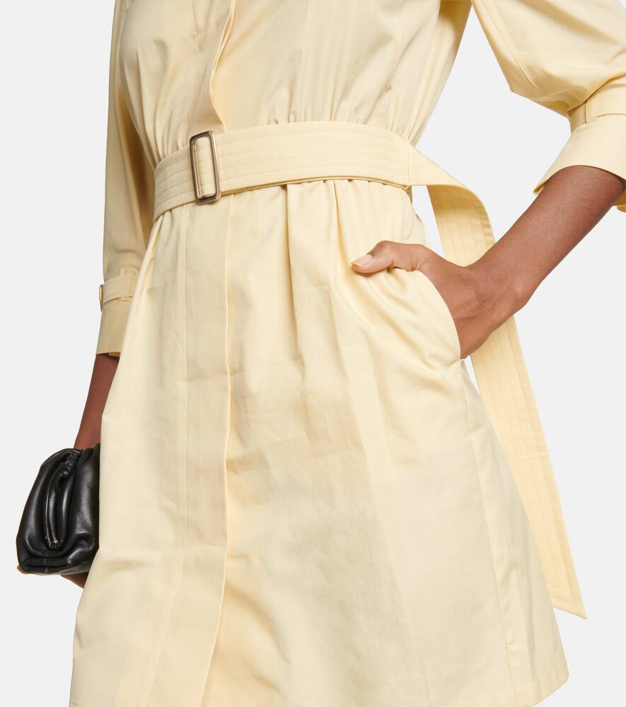Max Mara Saio cotton poplin shirt dress