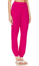 Michael Lauren Brussels Pants in Fuchsia