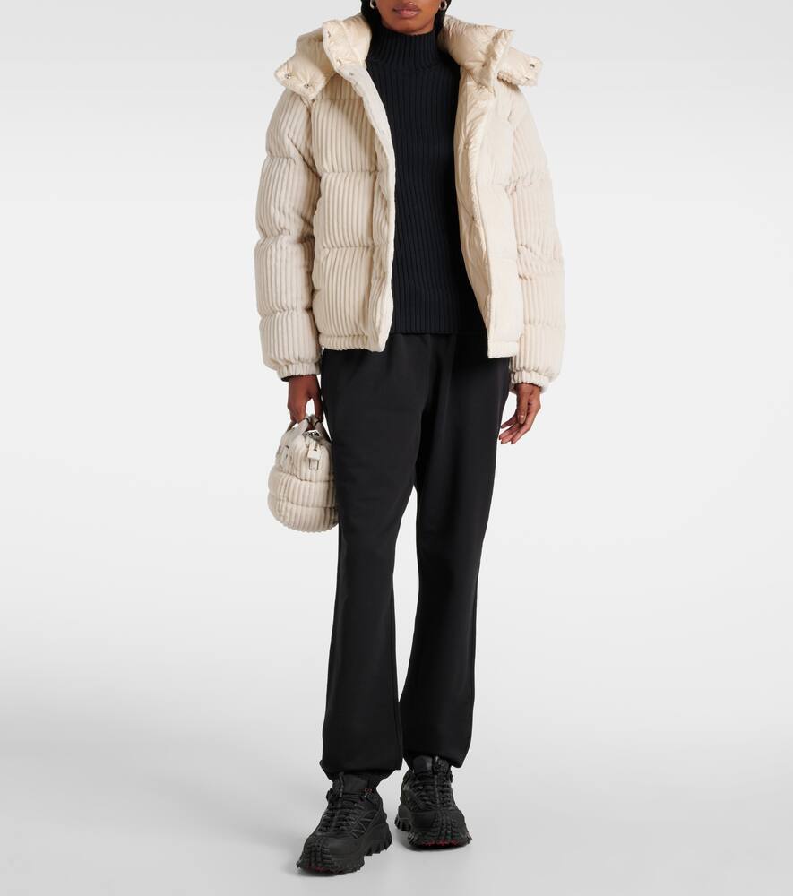 Moncler Daos corduroy down jacket