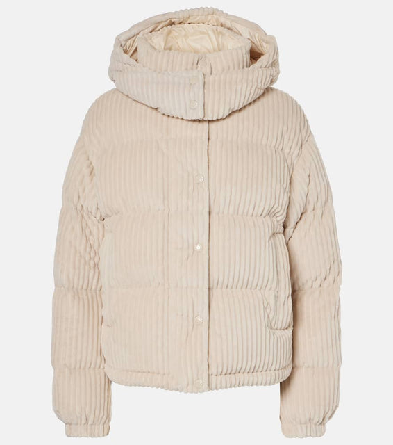 Moncler Daos corduroy down jacket