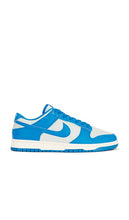 Nike Dunk Low Retro Sneakers in Blue | Men's Lifestyle Sneakers in Light Silver  Light Photo Blue  & Sail