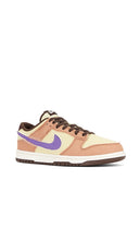 Nike Dunk Low Retro Se Sneakers in Brown