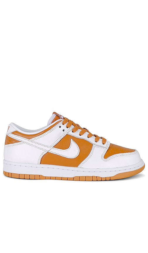 Nike Dunk Low in Multi