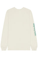 Nike Sustainability Long-Sleeve Max90 T-Shirt in Sage