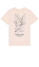 Obey Fig Tee in Cream - T-shirt Obey Fig en crème - Obey 无花果奶油色 T 恤 - Obey Fig T-Shirt in Creme - Obey 무화과 티셔츠 - Obey Fig Tee in crema