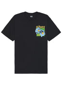 Obey Seeds Grow Tee in Black