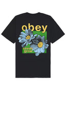 Obey Seeds Grow Tee in Black - Obey Seeds - T-shirt Grow en noir - Obey Seeds Grow 黑色 T 恤 - Obey Seeds Grow T-Shirt in Schwarz - Obey Seeds 그로우 티셔츠 - Maglietta Obey Seeds Grow in nero
