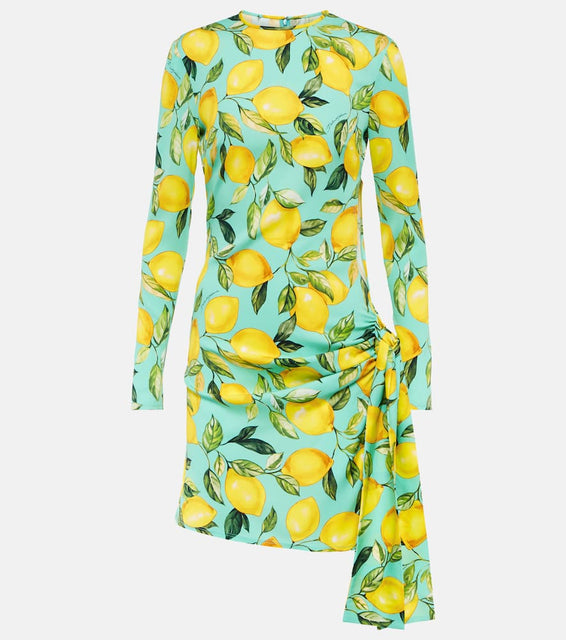 Dolce&Gabbana Printed silk-blend minidress