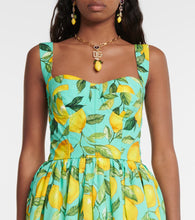 Dolce&Gabbana Printed cotton poplin minidress