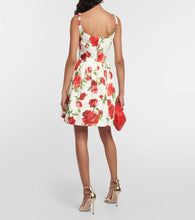 Carolina Herrera Floral cotton-blend minidress