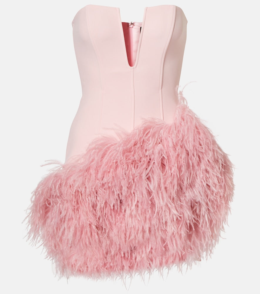 David Koma Feather-trimmed minidress. David Koma 羽毛装饰迷你连衣裙