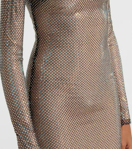 The New Arrivals Ilkyaz Ozel Catroux embellished sheer maxi dress
