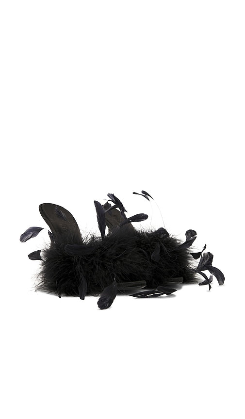 Paris Texas Lidia Feather Mule 105 in Black