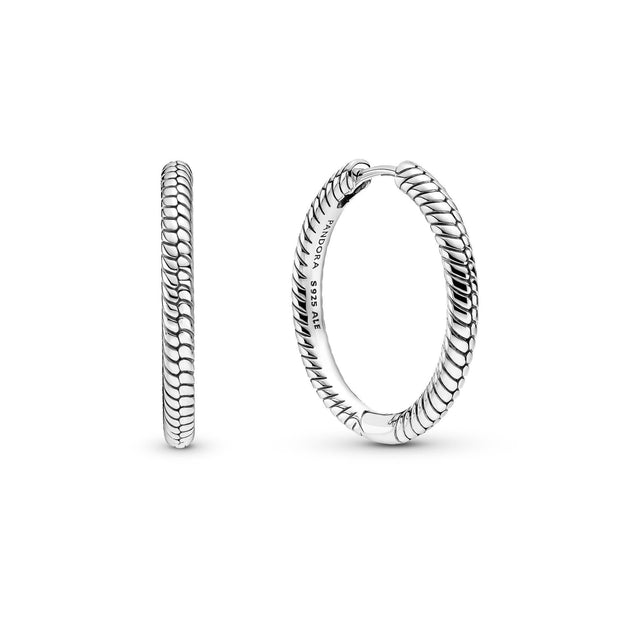 Pandora Moments Charm Hoop Earrings