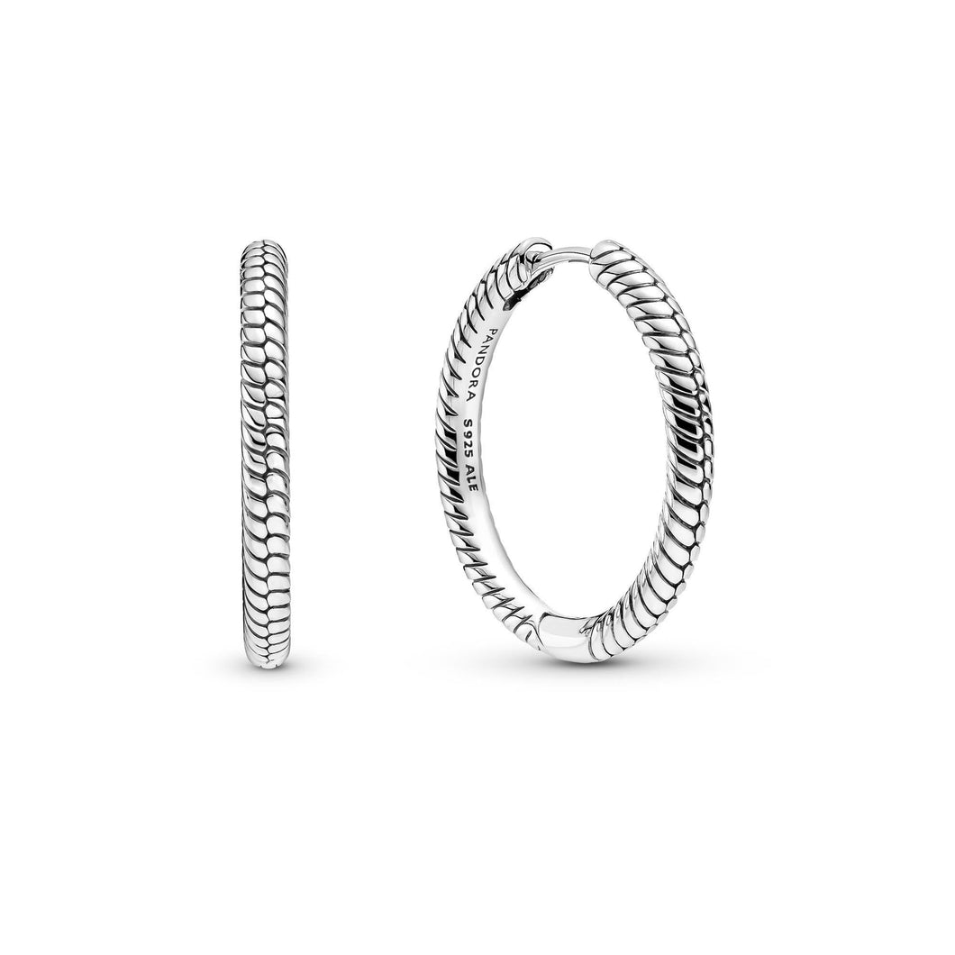 Pandora Moments Charm Hoop Earrings