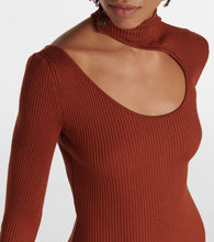 Petar Petrov Fineas cutout ribbed-knit silk midi dress