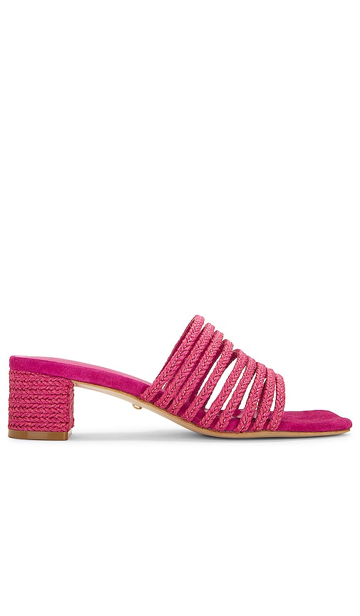 RAYE Adelia Heel in Fuchsia - Talon RAYE Adélia en Fuchsia - RAYE Adelia 紫红色高跟鞋 - RAYE Adelia Heel in Fuchsia - RAYE Adelia 힐, 퓨시아 소재 - Tacco RAYE Adelia in Fucsia