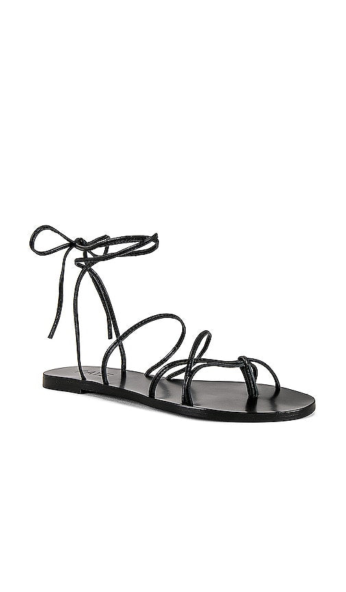 RAYE Spur Sandal in Black
