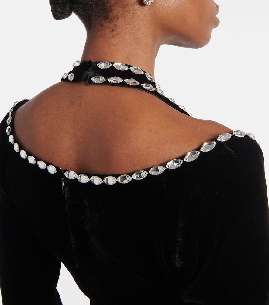 Rasario Crystal-embellished velvet gown