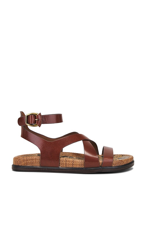 Sam Edelman Delia Sandal in Brown | Burntbrandy Flat Sandals for Women
