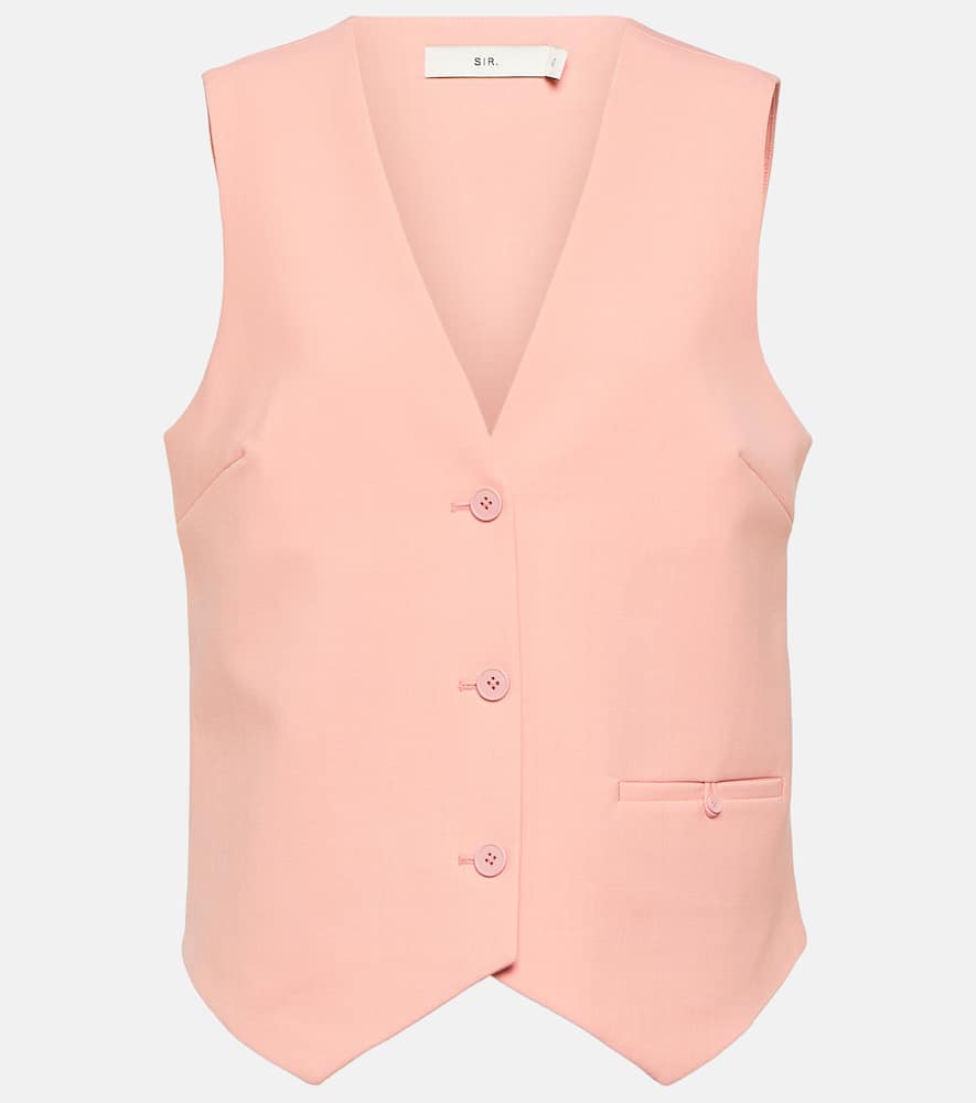 SIR Dario vest