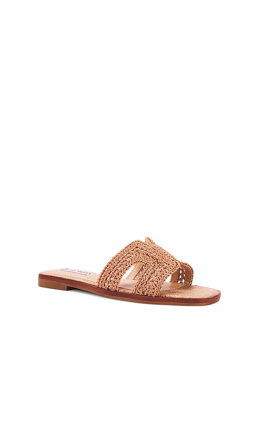 Steve Madden Hadyn Slide in Neutral