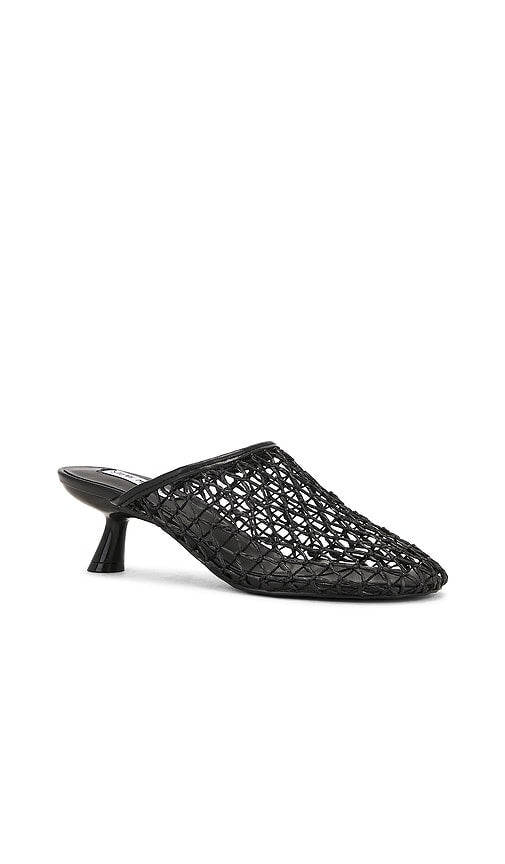 Steve Madden Xray Sandal in Black