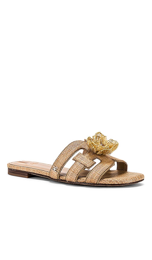 Sam Edelman Bay Flora Sandal in Tan