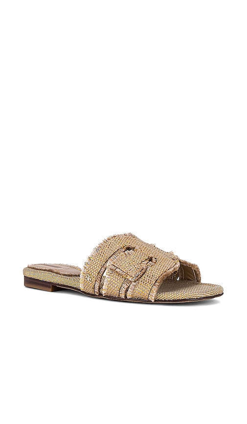 Sam Edelman Bay Fray 2 Sandal in Neutral