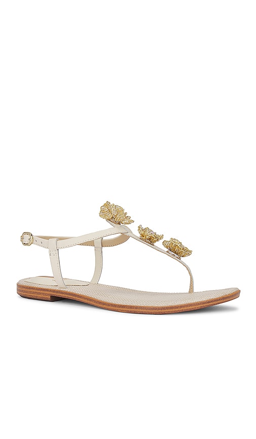 Sam Edelman Gigi Flora Sandal in Ivory