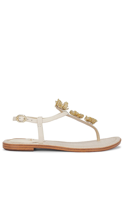 Sam Edelman Gigi Flora Sandal in Ivory - Sandale Sam Edelman Gigi Flora en ivoire - Sam Edelman Gigi Flora 象牙色凉鞋 - Sam Edelman Gigi Flora Sandale in Elfenbein - Sam Edelman Gigi Flora 샌들 아이보리 색상 - Sam Edelman Sandalo Gigi Flora in avorio
