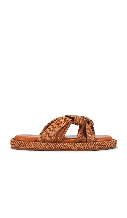 Schutz Kali Flat in Brown | Cuoio Brown Flat Sandals for Women