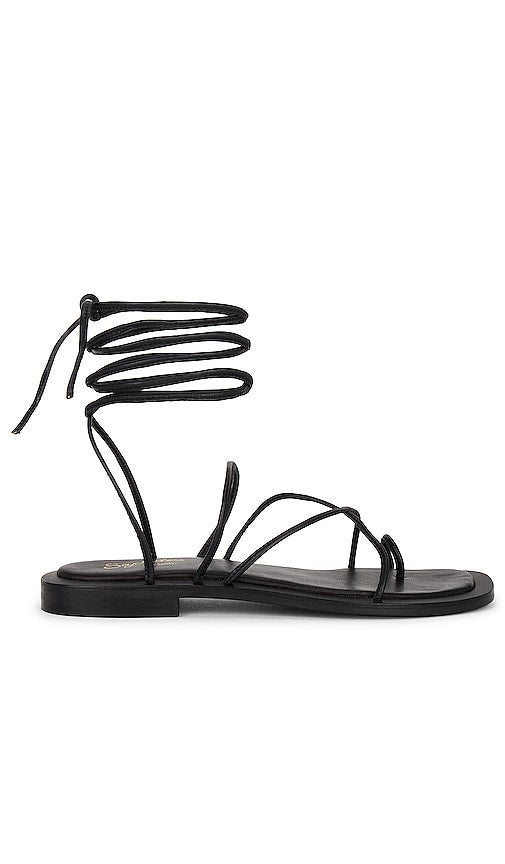 Seychelles Lilac Sandal in Black - Sandale Lilas Seychelles en Noir - 黑色 Seychelles 丁香凉鞋 - Seychellen-Flieder-Sandale in Schwarz - Seychelles 라일락 샌들블랙 색상 - Sandalo lilla Seychelles in nero