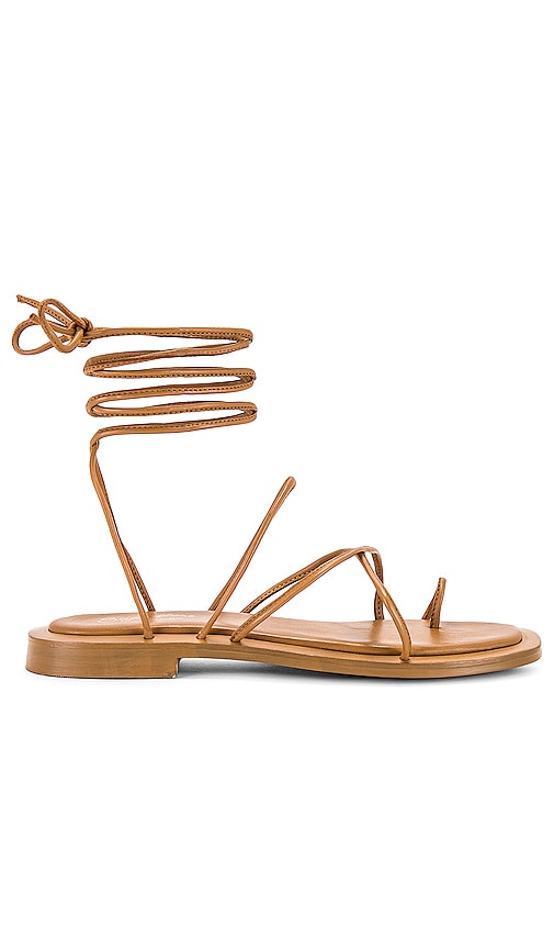 Seychelles Lilac Sandal in Brown - Sandale lilas Seychelles en marron - 棕色塞舌尔紫丁香凉鞋 - Seychellen-Flieder-Sandale in Braun - Seychelles 라일락 샌들브라운 색상 - Sandalo lilla Seychelles in marrone
