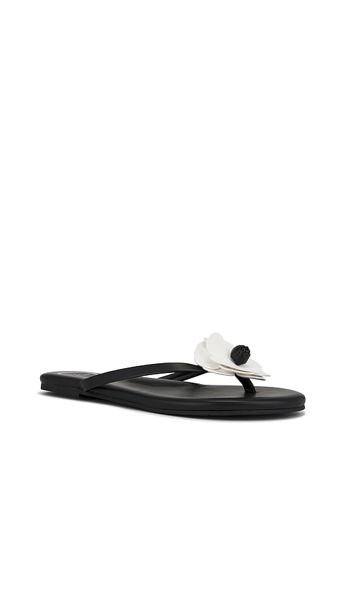Solei Sea Valentina Sandal in Black
