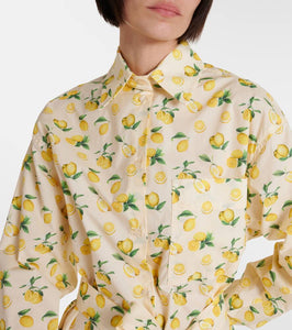 Sportmax Boero printed cotton shirt dress