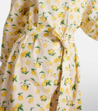 Sportmax Boero printed cotton shirt dress