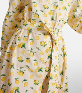Sportmax Boero printed cotton shirt dress