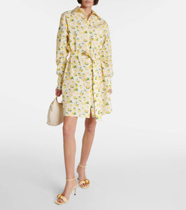 Sportmax Boero printed cotton shirt dress