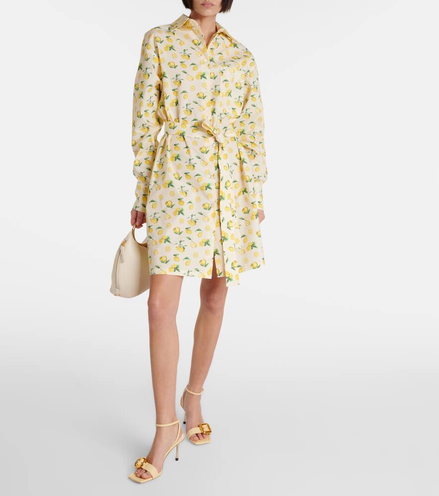 Sportmax Boero printed cotton shirt dress