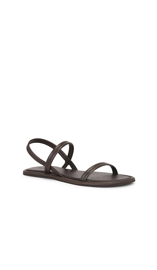 St. Agni Fine Strap Sandal in Brown