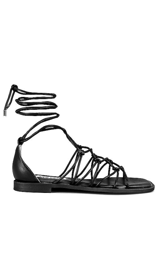 Steve Madden Ainsley Sandal in Black - Sandale Steve Madden Ainsley en noir - Steve Madden Ainsley 黑色凉鞋 - Steve Madden Ainsley Sandale in Schwarz - Steve Madden Ainsley 샌들 블랙 컬러 - Sandalo Steve Madden Ainsley in nero