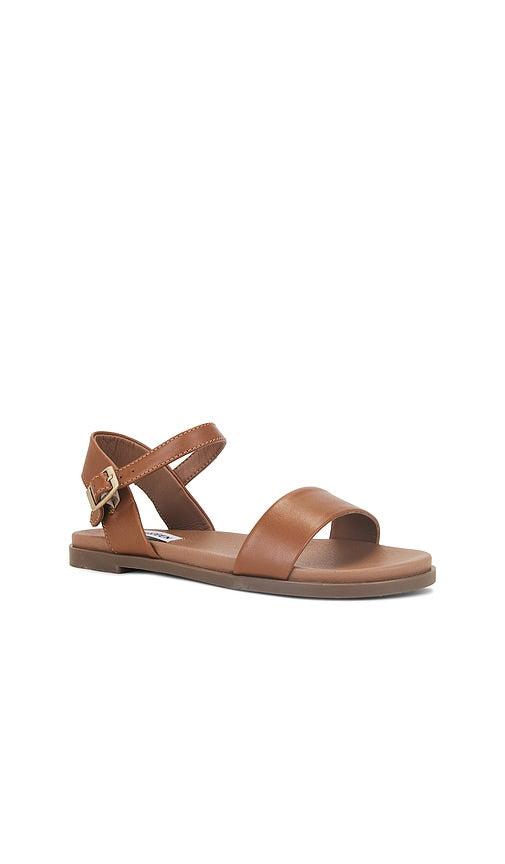 Steve Madden Dina Sandal in Brown