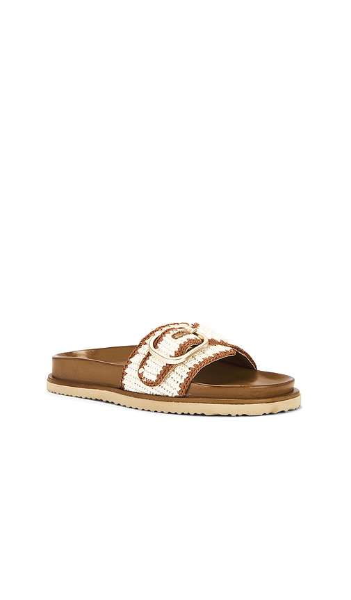 Steve Madden Memphis Sandal in Cognac
