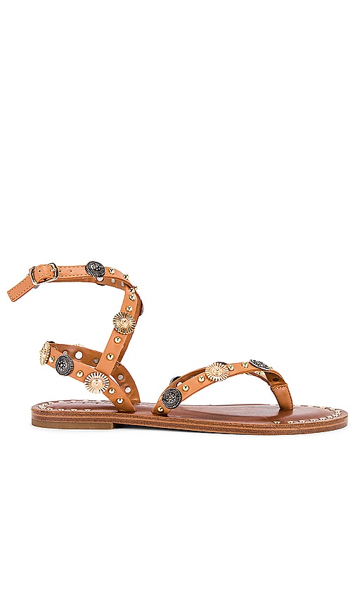 Steve Madden Recent Sandal in Cognac - Sandale récente Steve Madden à Cognac - Steve Madden 最近推出的干邑色凉鞋 - Steve Madden Aktuelle Sandale in Cognac - Steve Madden 최신 코냑 샌들 - Sandalo recente di Steve Madden color cognac